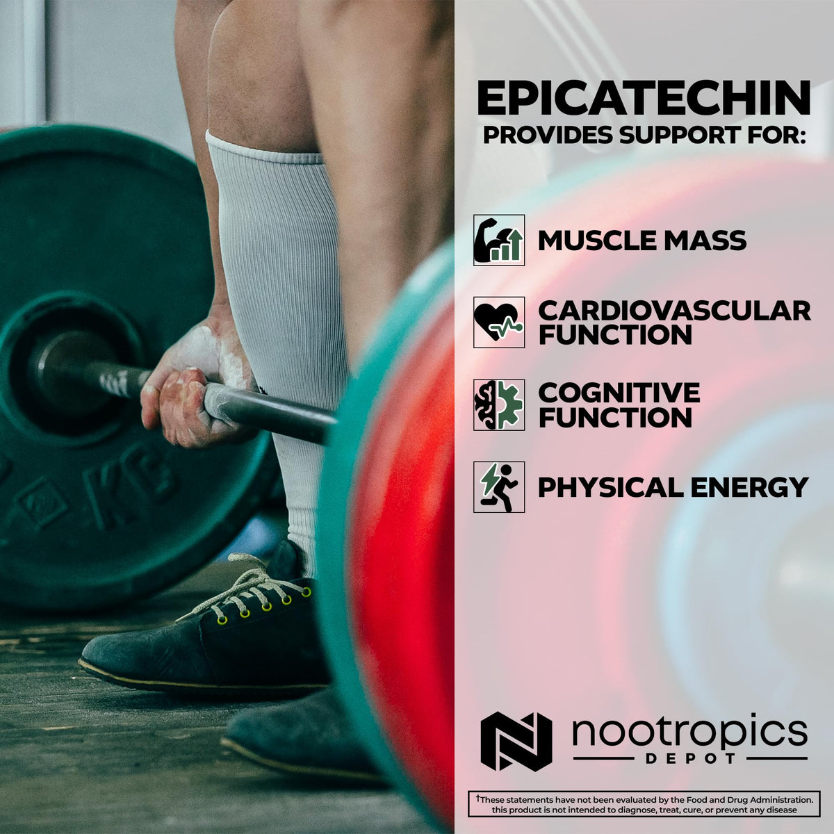 Nootropics Depot Epicatechin Tablets