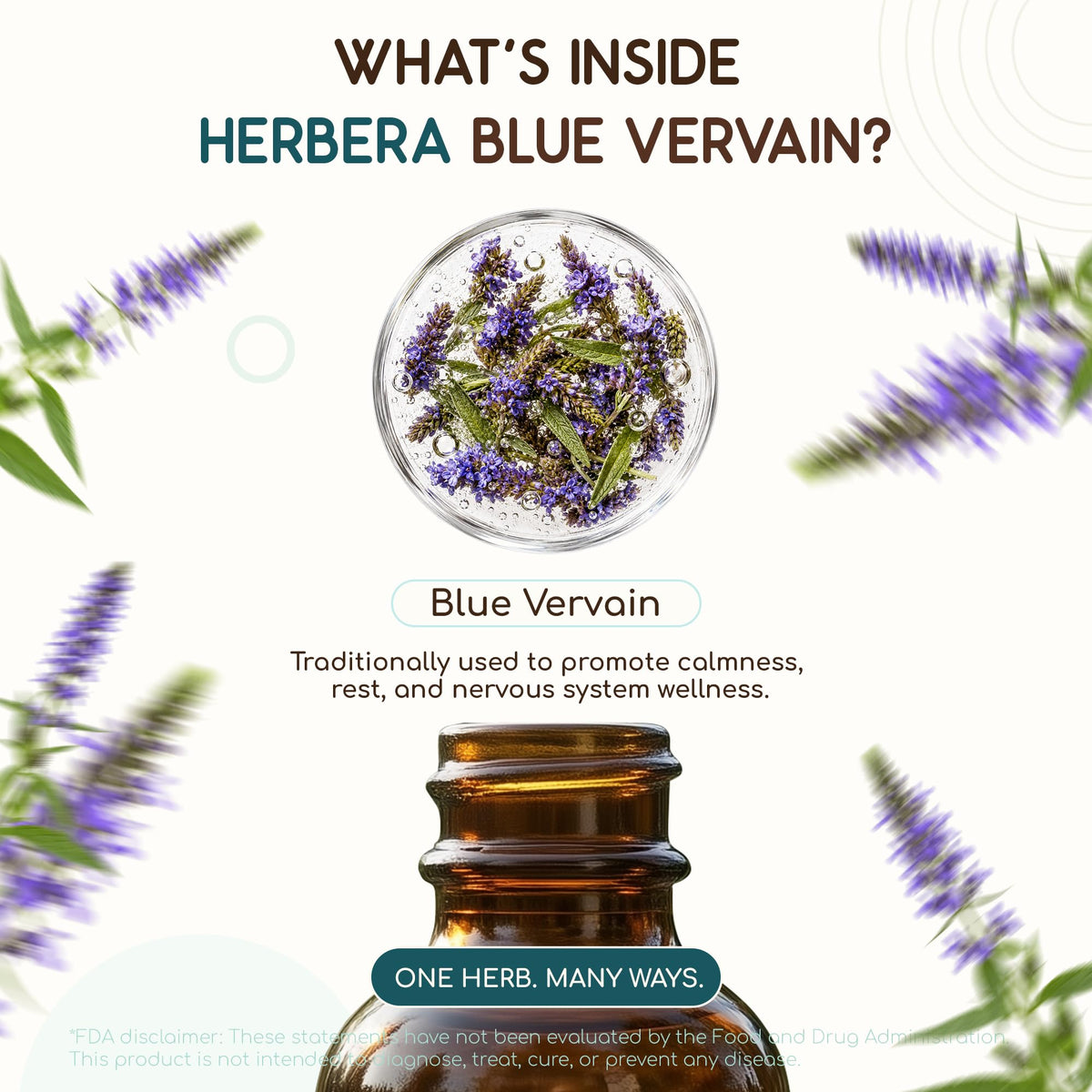 HerbEra Blue Vervain Alcohol-Free Herbal Extract Tincture