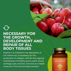 HEALTHFORCE SUPERFOODS Vitamin C Immune Support Powder - 180 Grams - image 6