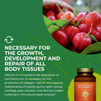 HEALTHFORCE SUPERFOODS Vitamin C Immune Support Powder - 180 Grams - image 6