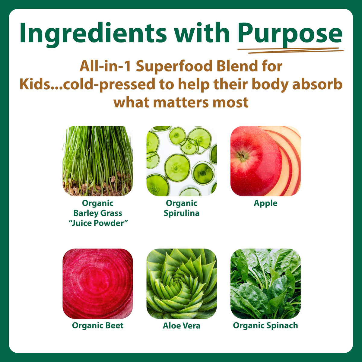 MacroLife Naturals Macrococo Greens Kids Superfood Powder, Chocolate - 7oz - image 2