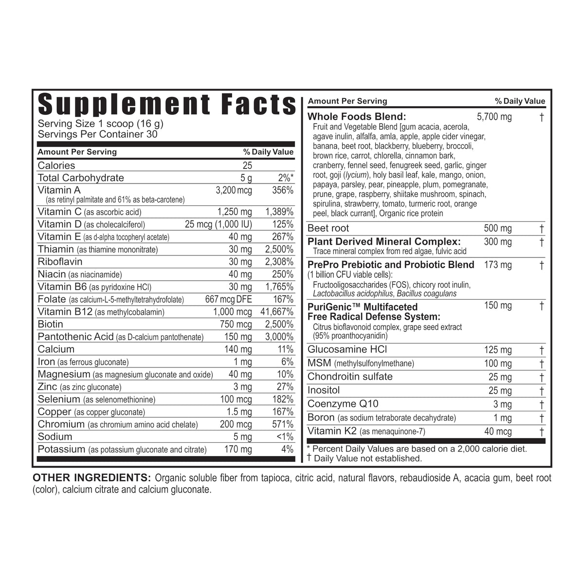 Youngevity Beyond Tangy Tangerine 2.5 Citrus Peach Fusion