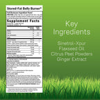 Irwin Naturals Stored-Fat Belly Burner - 72 Liquid Soft-Gels - Helps