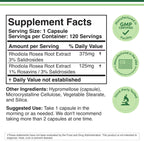 Double Wood Supplements Rhodiola Rosea Root Extract 500mg - 120 Capsules - image 2