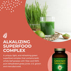 HealthForce SuperFoods Greener Grasses Alkalizer Powder - 10 oz - image 4