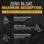 RISE311 Plant-Based Protein