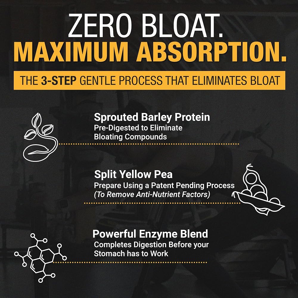 RISE311 Plant-Based Protein