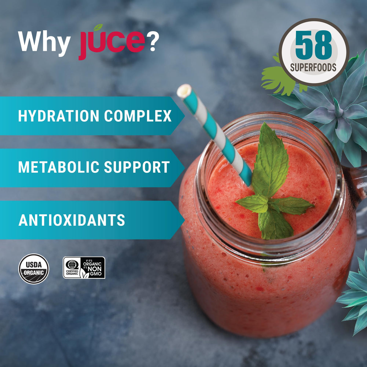 Terra Kai Organics Juce Hydrate Powder with Coconut Water & B12 - image 3