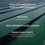 Nutrex Hawaii EyeAstin Astaxanthin Lutein Zeaxanthin - 60 Softgels - image 6
