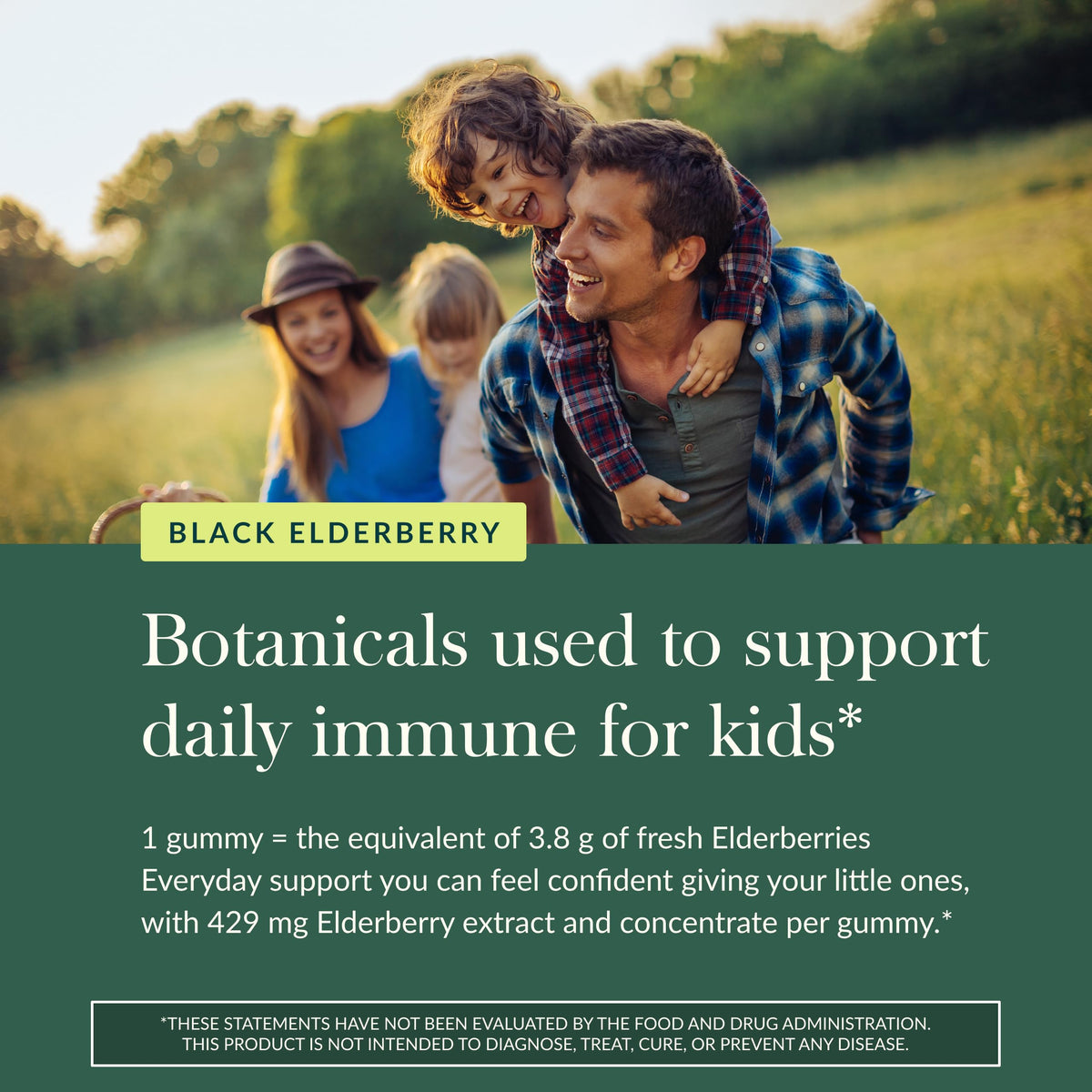 Gaia Herbs Black Elderberry Daily Gummies for Kids - 40 Gummies - image 5