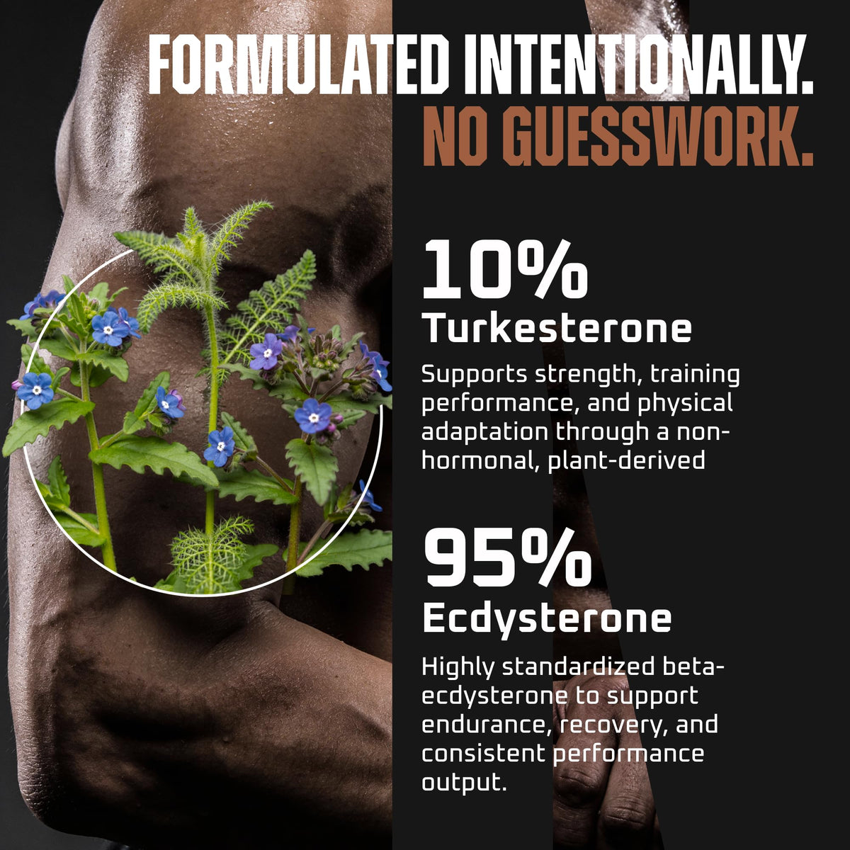 Earth Elixir Turkesterone & Ecdysterone Supplement - 180 Capsules - image 3