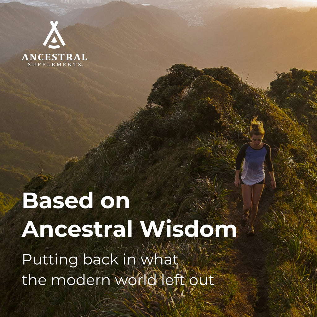 Ancestral Supplements Gut Health