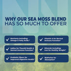 Nobi Nutrition Irish Sea Moss Capsules with Burdock Root - 90 Count - image 4