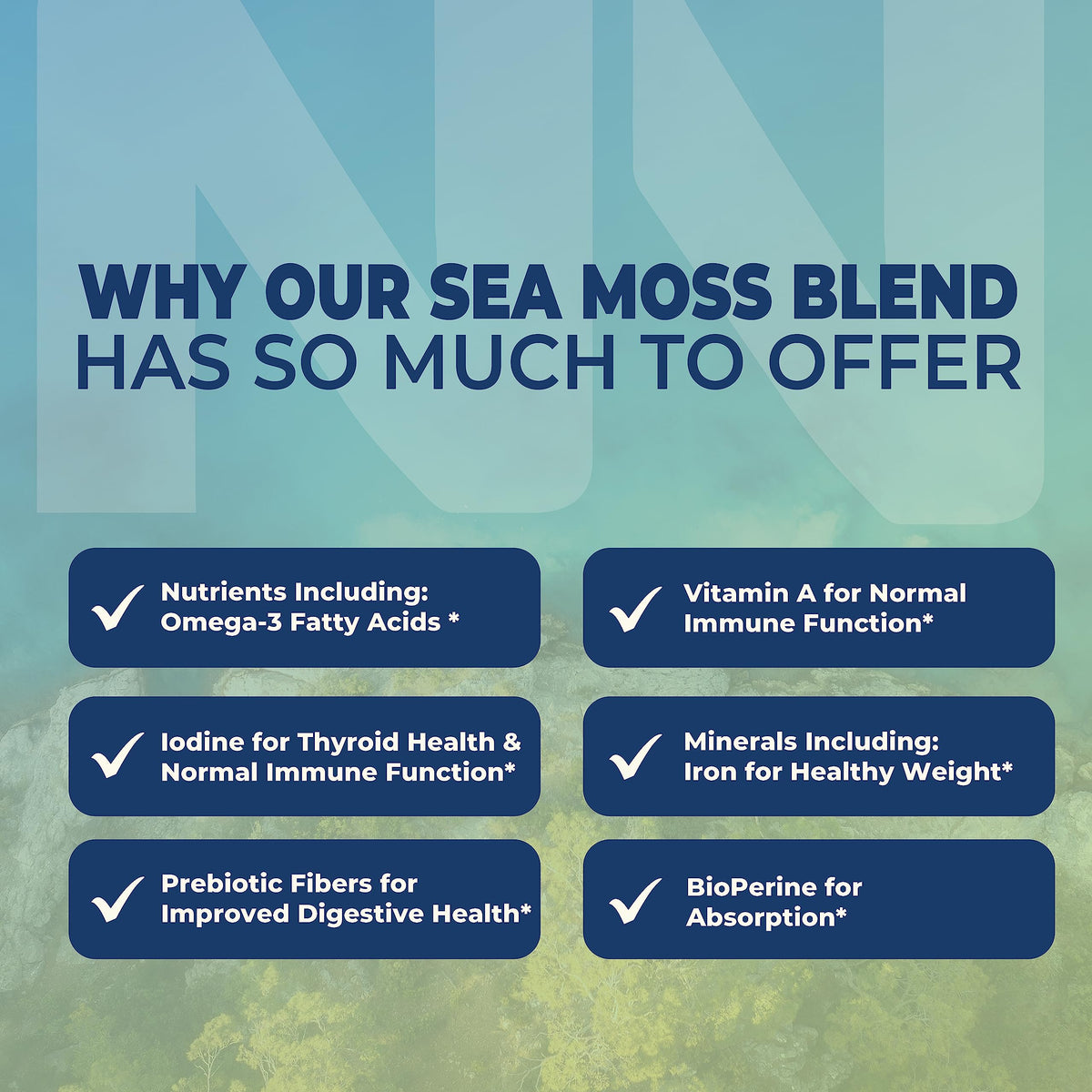 Nobi Nutrition Irish Sea Moss Capsules with Burdock Root - 90 Count - image 4