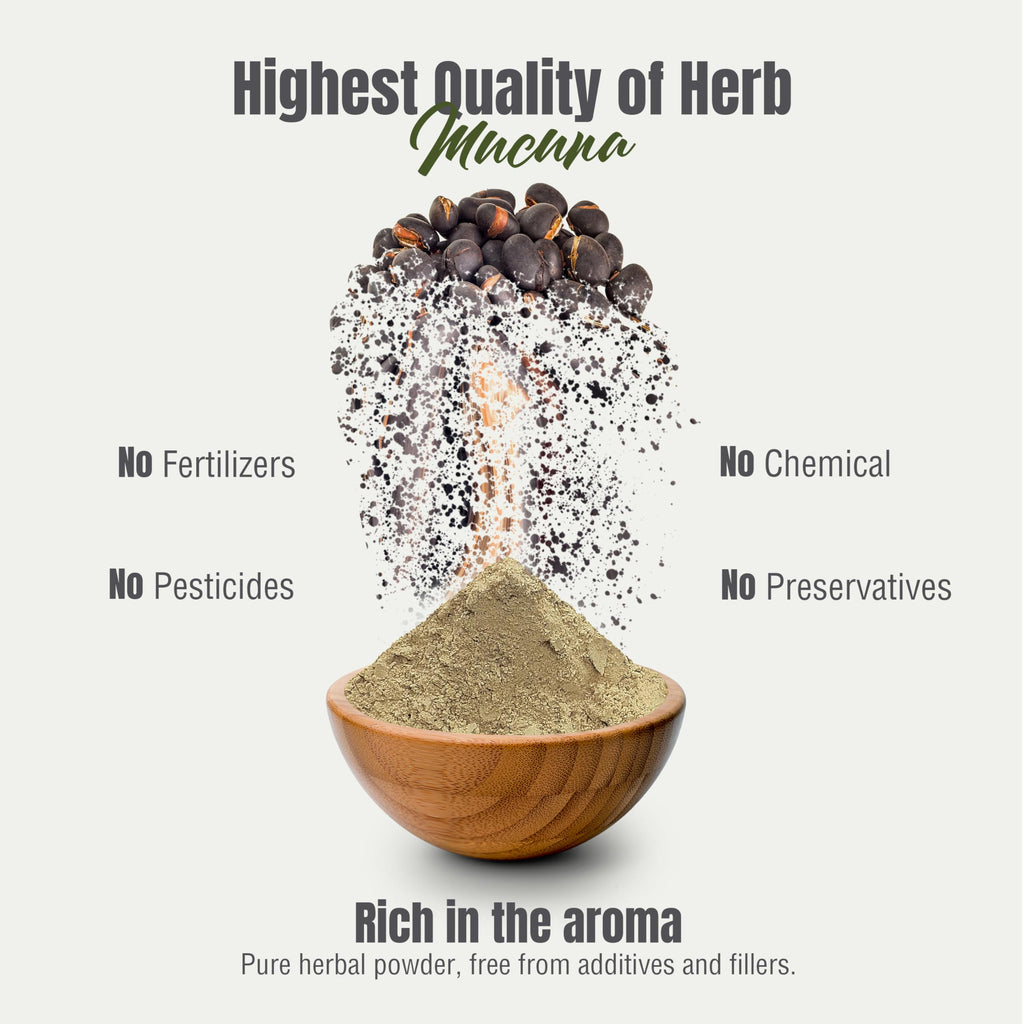 Herbsforever Mucuna Pruriens Powder 2X Potency Extract - 230g - image 6