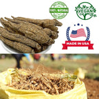 DABC OAK LAND American Ginseng Slices Wisconsin