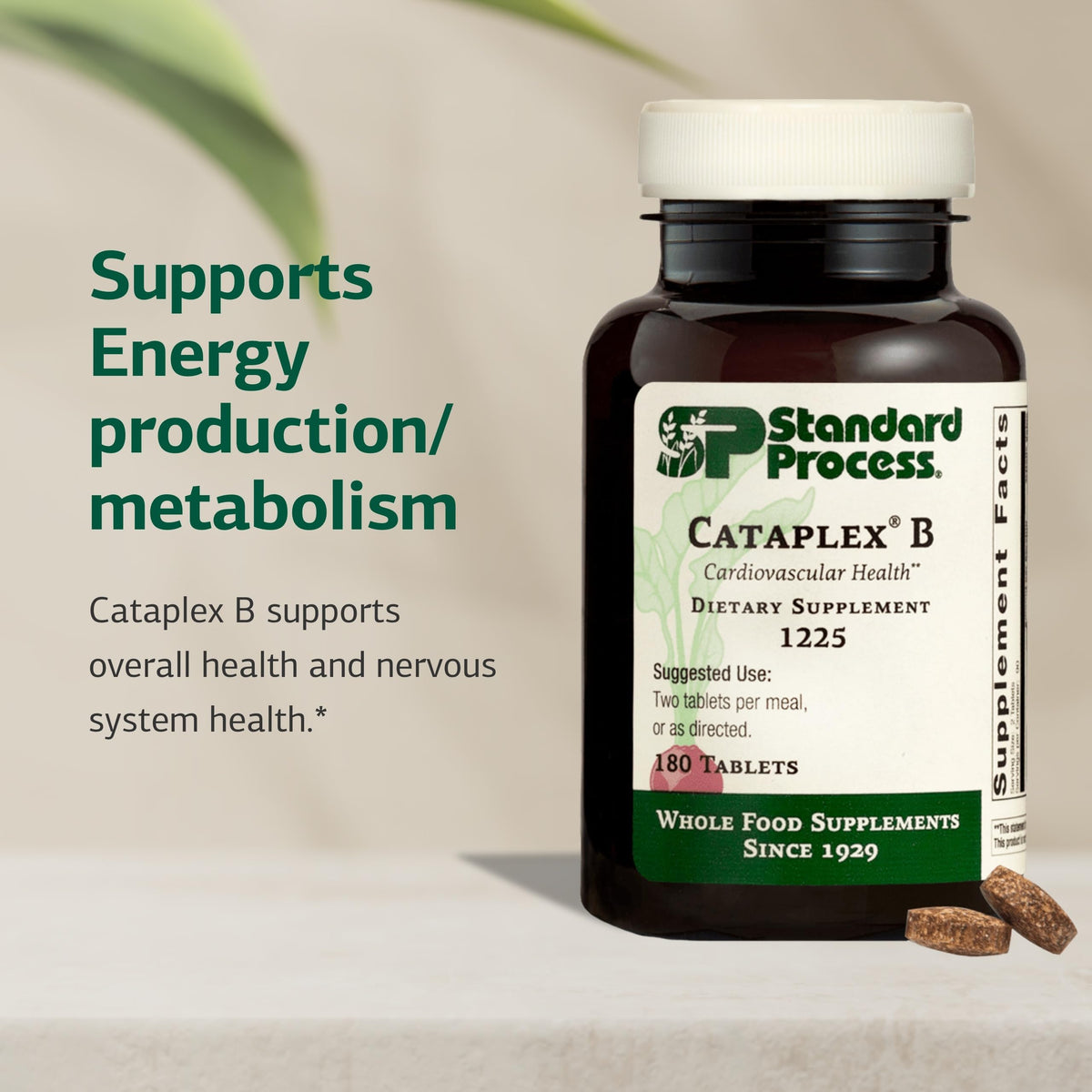 Standard Process Cataplex B Vitamin B-Complex - 180 Tablets - image 3
