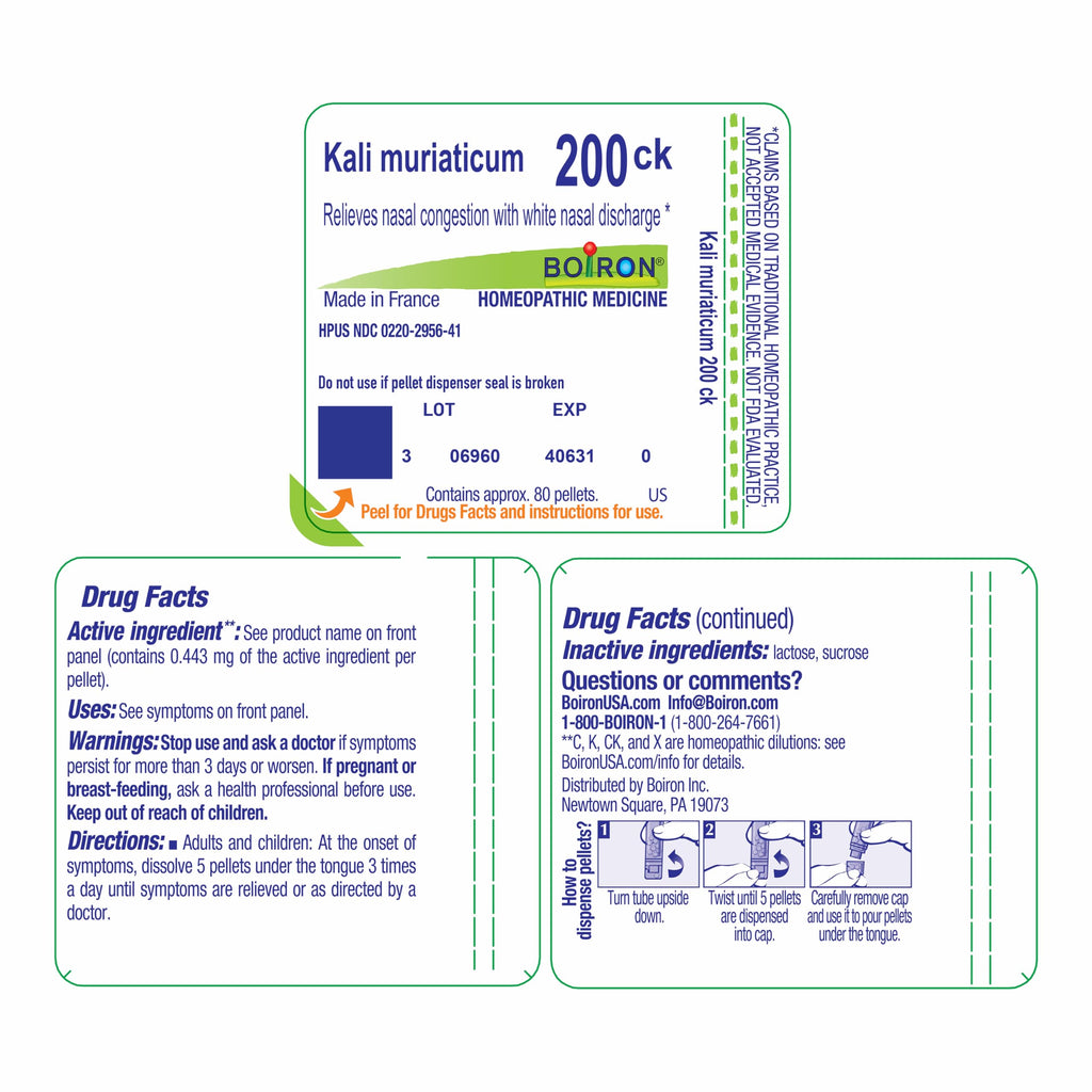 Boiron Kali Muriaticum 200Ck Homeopathic Medicine - 80 Pellets - image 9