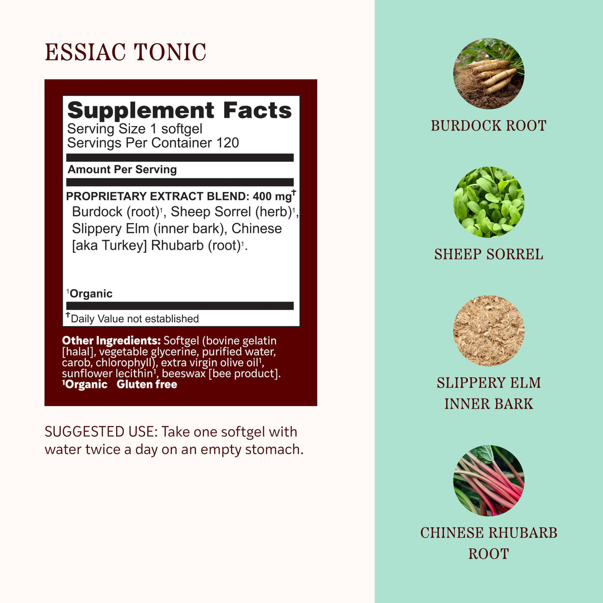 Herbs Etc. Essiac Tonic Softgels