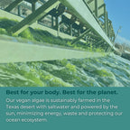 Iwi Life Omega 3 Supports a Healthy Heart