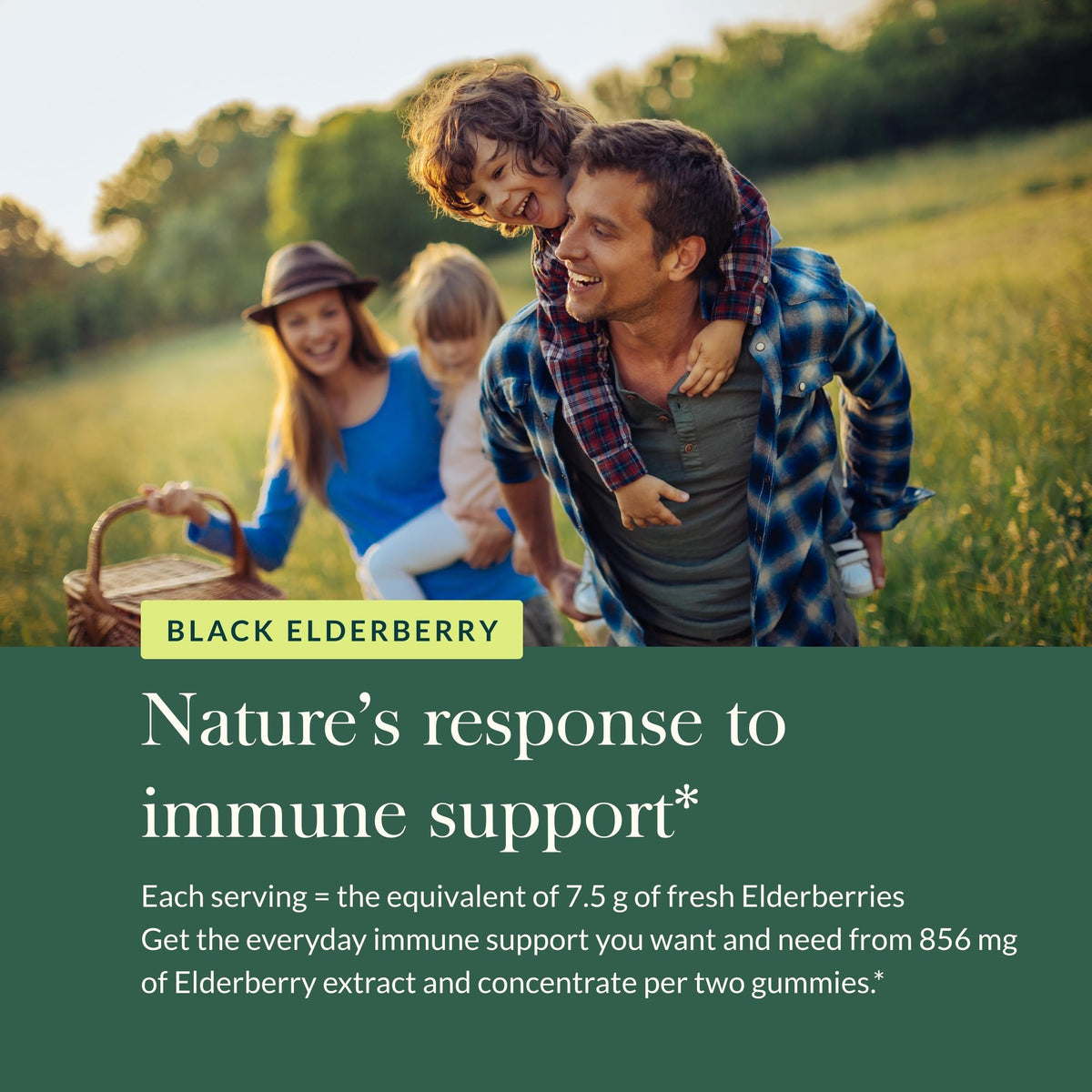 Gaia Herbs Black Elderberry Adult Daily Gummies Immune Support - 40 Gummies - image 5