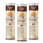 Zingavita Ayurveda Himalayan Shilajit 750mg Effervescent - 30 Count