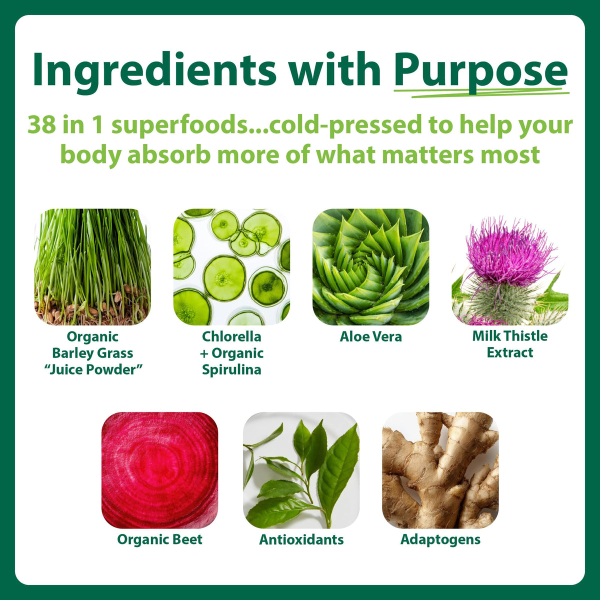 MacroLife Naturals Miracle Reds Superfood Powder