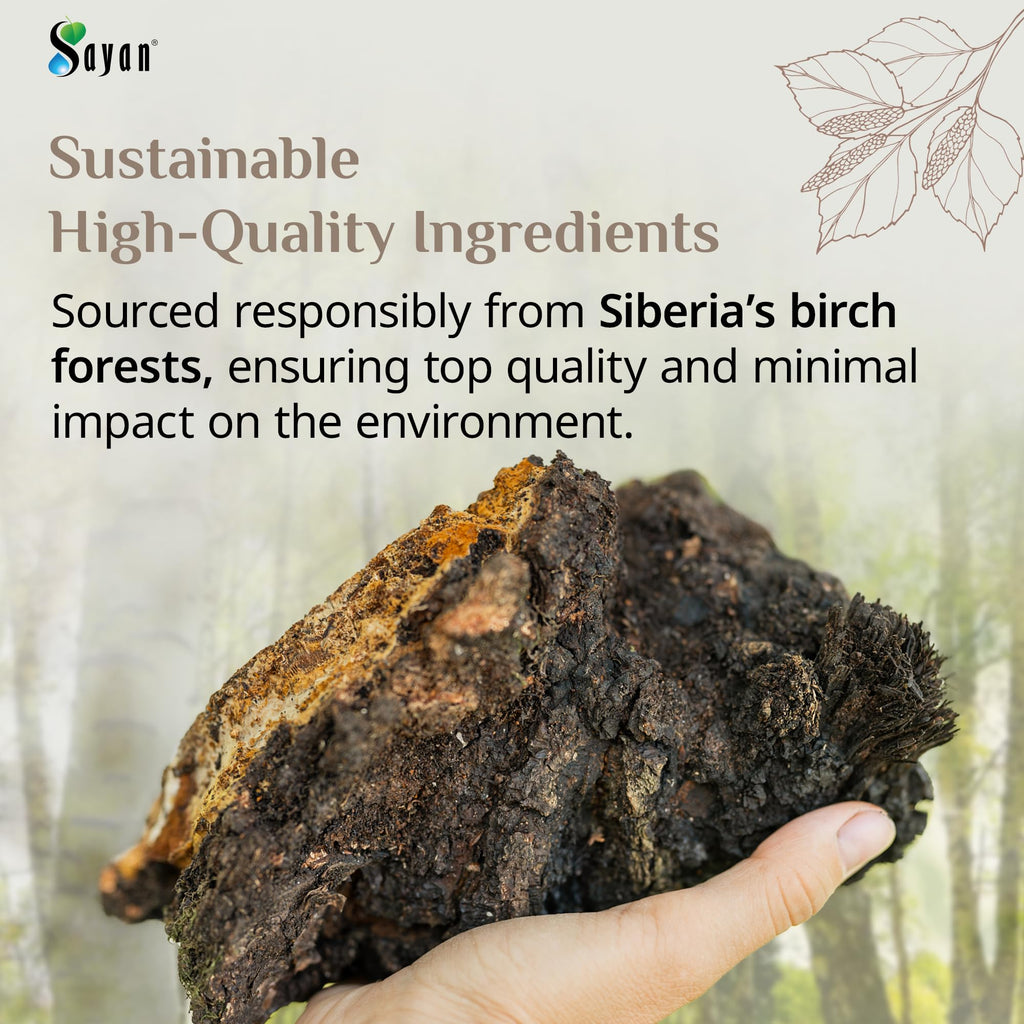 Sayan Coarse Chaga Powder - 6 oz - image 6