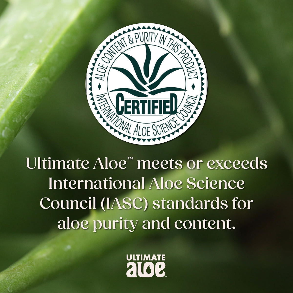 Ultimate Aloe Powder Digestive Drink Mix - 16 Packets - image 9