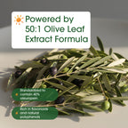 NatureBell Olive Leaf Extract Immune Support - 240 Capsules - image 6