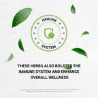 Secrets of the Tribe Muira Puama and Catuaba Alcohol-Free Liquid