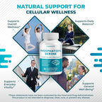 NuraFuse Phosphatidylserine 8-in-1 for Cognitive Wellness - 150 Capsules - image 5