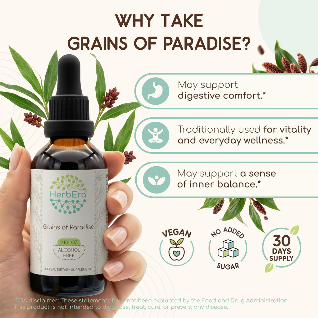 HerbEra Grains of Paradise Alcohol-Free Herbal Extract Tincture