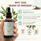 HerbEra Grains of Paradise Alcohol-Free Herbal Extract Tincture