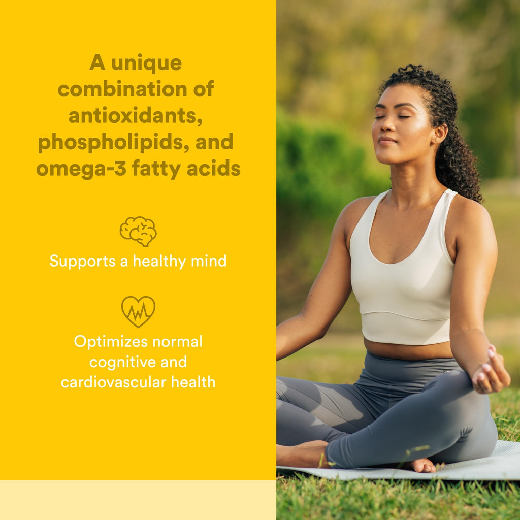 Natural Factors Higher Thoughts Brain Health Supplement - 90 Softgels - image 2