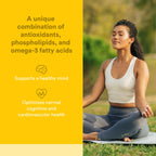 Natural Factors Higher Thoughts Brain Health Supplement - 90 Softgels - image 2