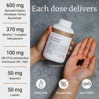 BIG BOLD HEALTH Microbiome Rejuvenate Prebiotic + Probiotic - 60 Capsules - image 3