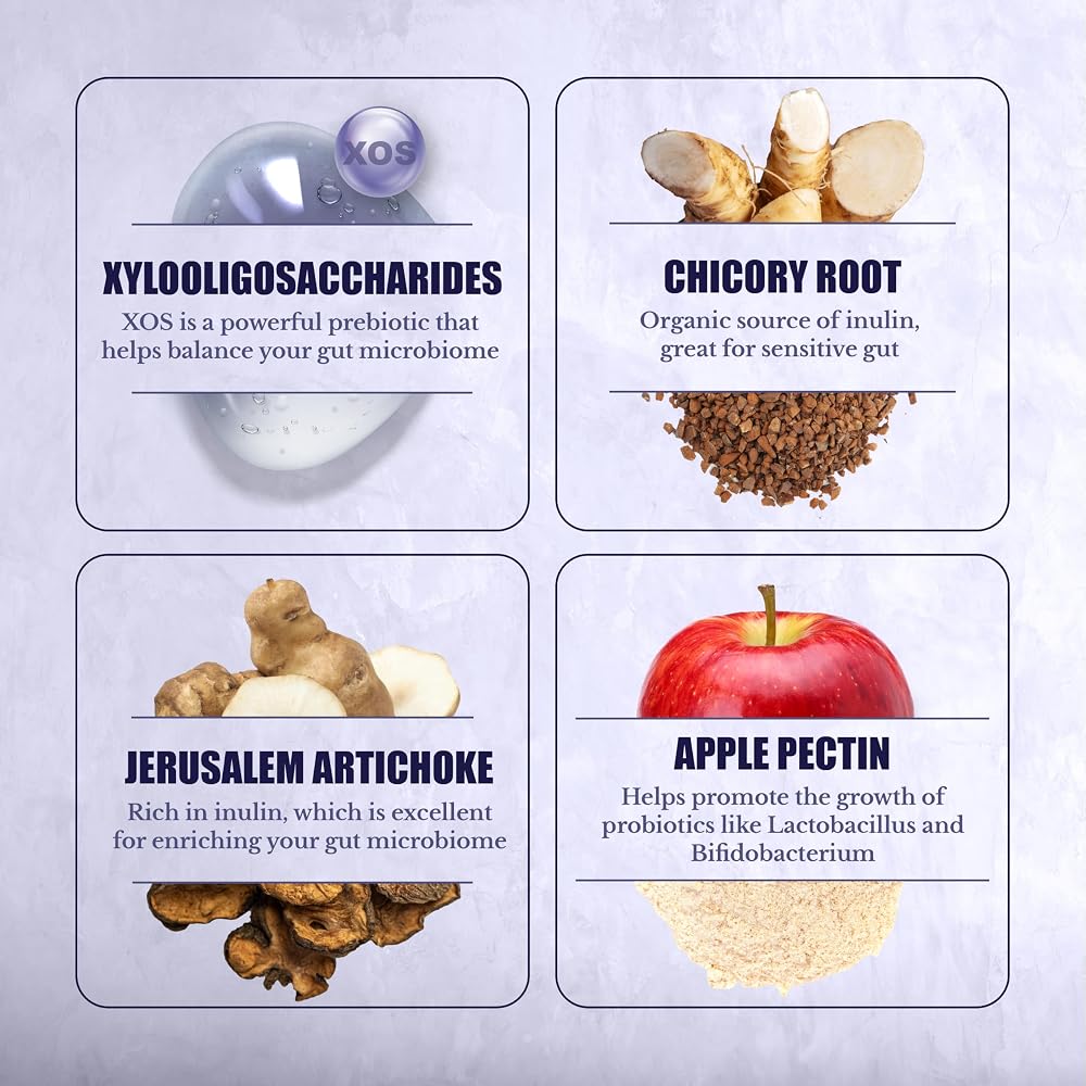 NATION HEALTH MD Prebiotics for Gut Health - 90 Capsules - image 5