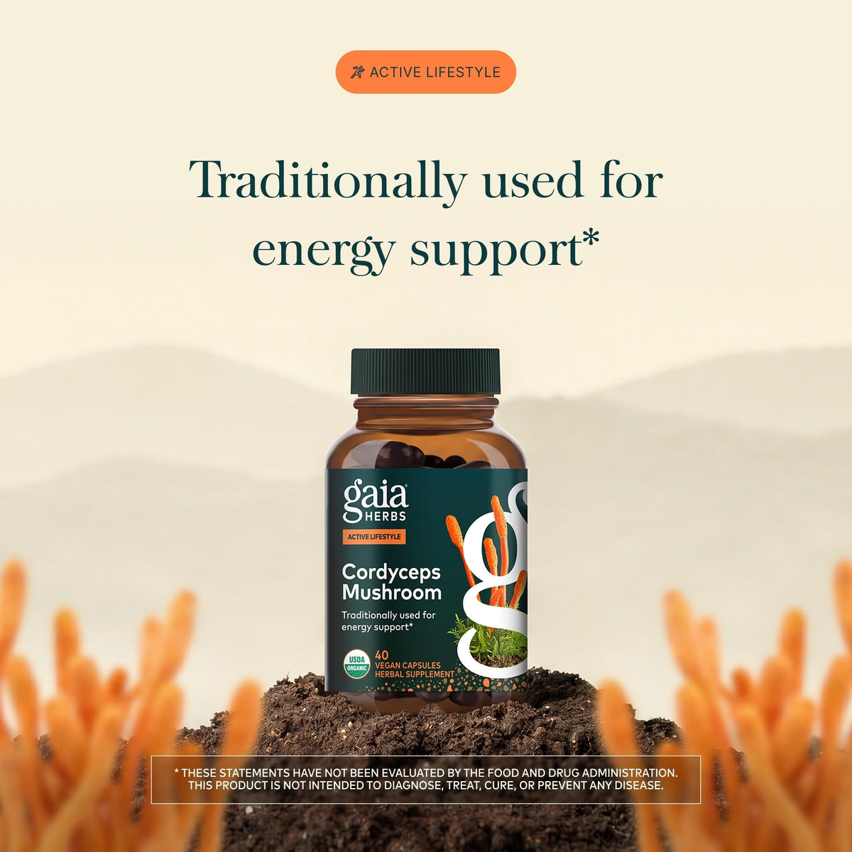 Gaia Herbs Cordyceps Mushroom Energy Support - 40 Capsules - image 3