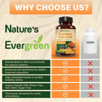 Nature's Evergreen Turmeric Curcumin Joint Support - 180 Capsules - image 7
