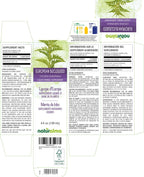 Naturalma European Bugleweed Herbal Tincture - 4 fl oz - image 2