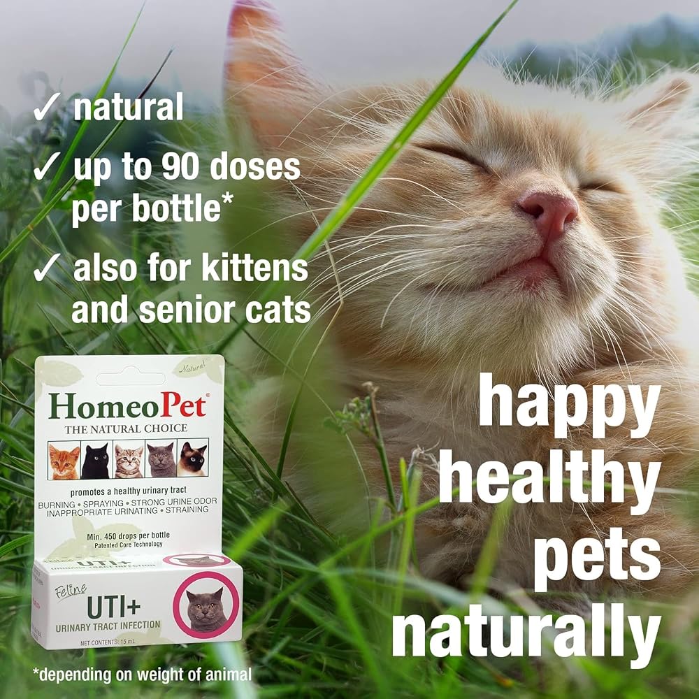 HomeoPet Feline UTI+ Supplement for Cats - Pack of 2 - image 4