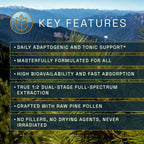 RAW Forest Foods Mountain Alchemy Pine Pollen Elixir Tincture