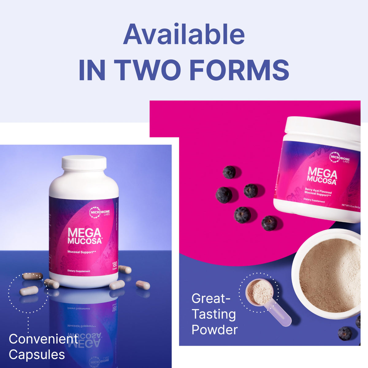 Microbiome Labs MegaMucosa - Mucosal Support Supplement for Digestive