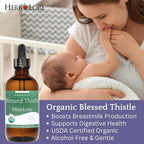 Herb Lore Organic Blessed Thistle Liquid for Breastfeeding Support - 4 fl oz - image 3