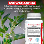 HERBOGANIC Ashwagandha 500mg Capsules - 60 Vegetarian Capsules - image 4