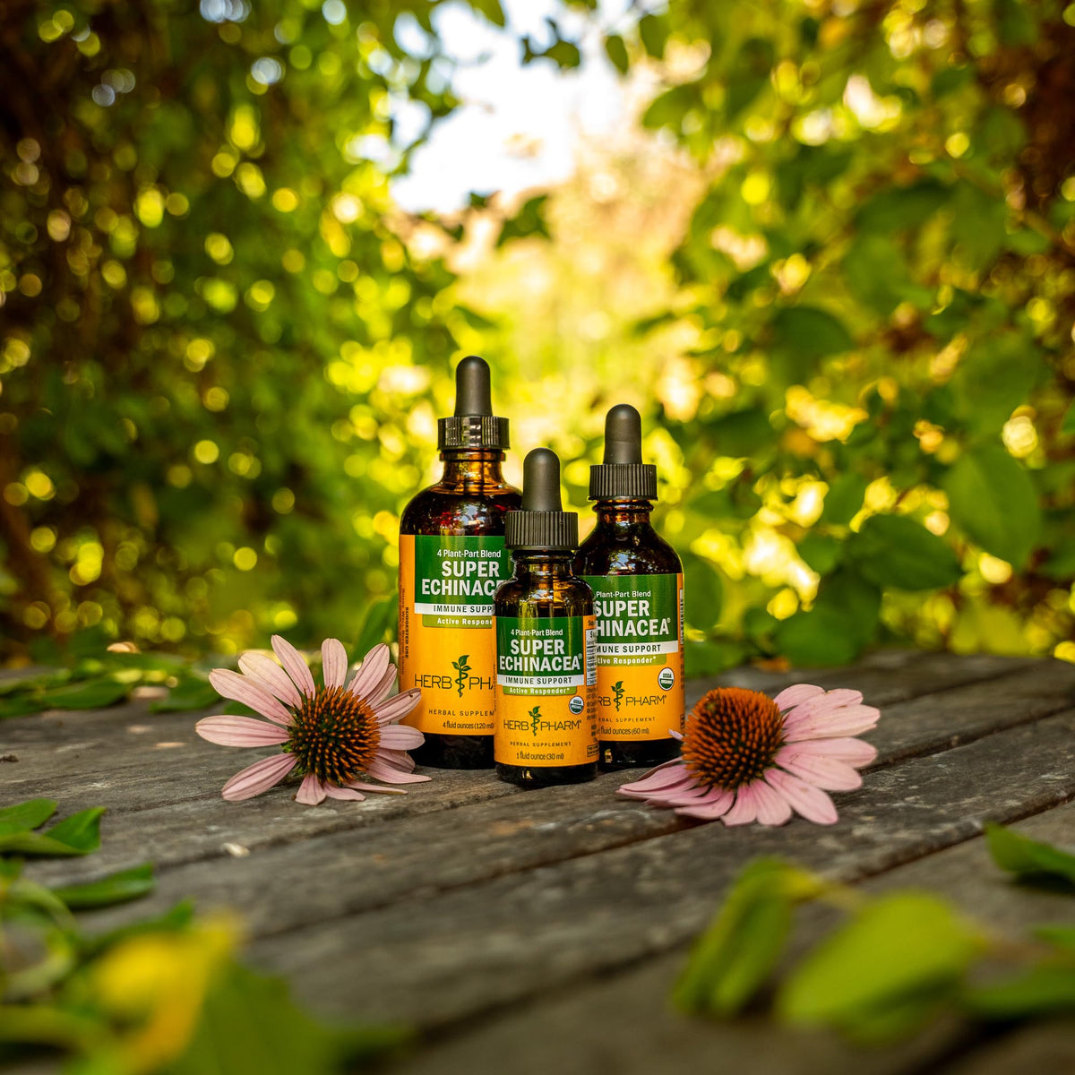 Herb Pharm Super Echinacea Liquid Extract Immune Support - 1 oz - image 13