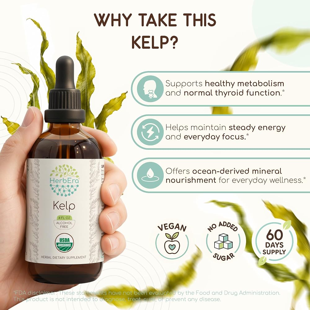 HerbEra Kelp USDA Organic Tincture