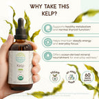 HerbEra Kelp USDA Organic Tincture