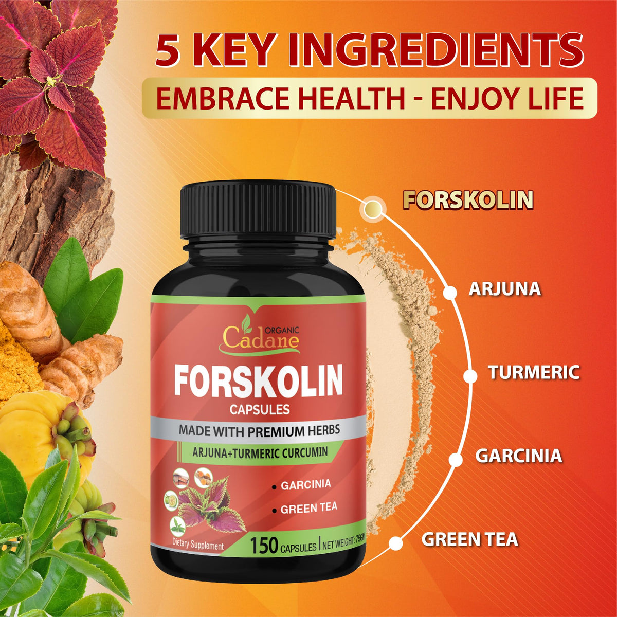 Organic Cadane Forskolin Supplement with Turmeric & Green Tea - 150 Capsules - image 5